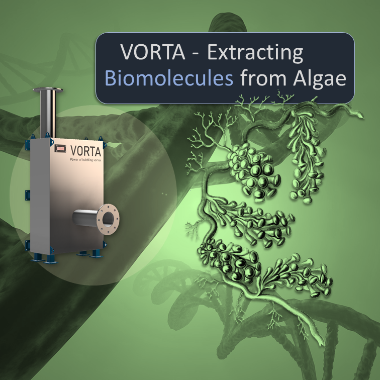 Extraction of Biomolecules from Microalgae